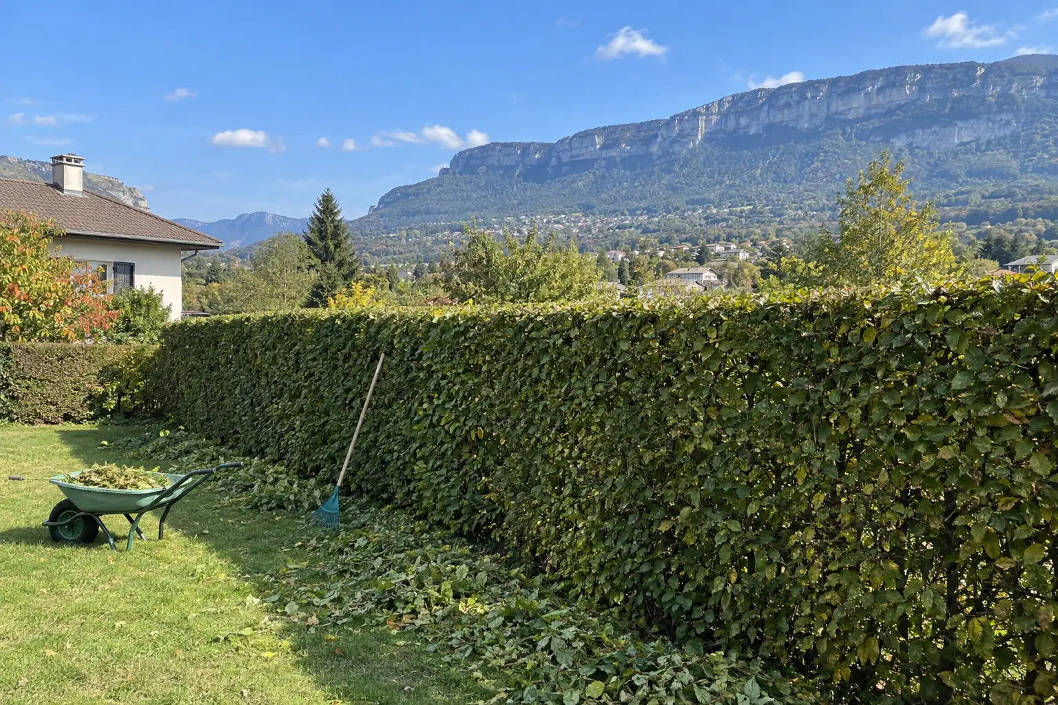 Haie de charmille fraîchement taillée le long d’une pelouse, brouette et râteau, falaises du Salève au fond sous un ciel bleu